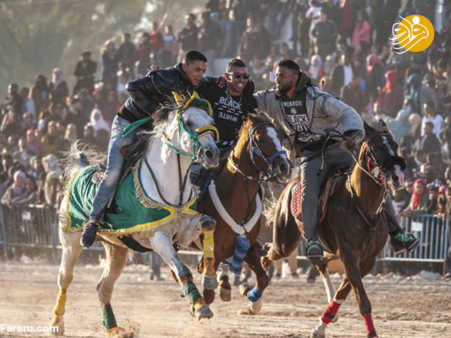 (تصاویر) جشنواره صحرا