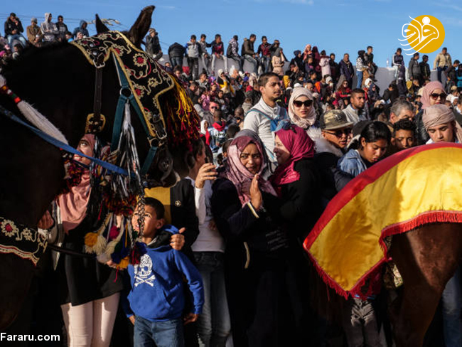 (تصاویر) جشنواره صحرا