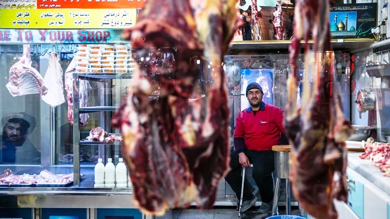 حمله گوسفندهای رومانیایی به بازار گوشت ایران حمله گوسفندهای رومانیایی به بازار گوشت ایران