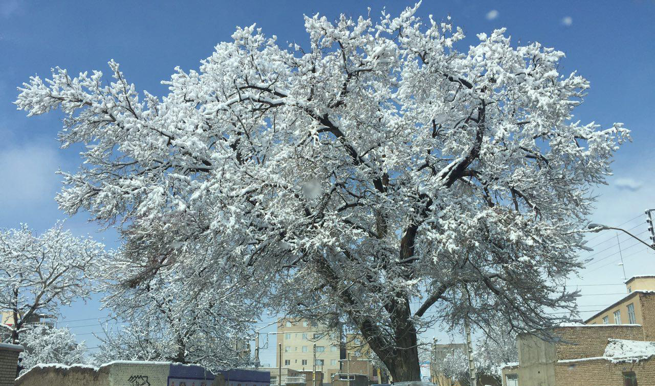 ورزقان سردترین شهر ایران