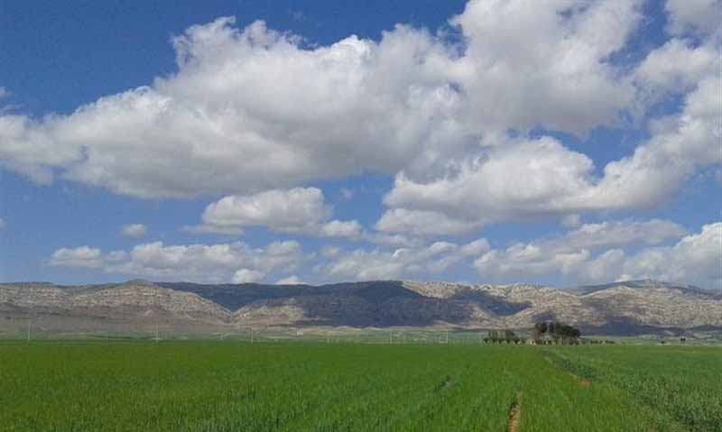 کشت فراسرزمینی ۴۲۸هزار هکتار زمین توسط ایران در ۹ کشور کشت فراسرزمینی ۴۲۸هزار هکتار زمین توسط ایران در ۹ کشور