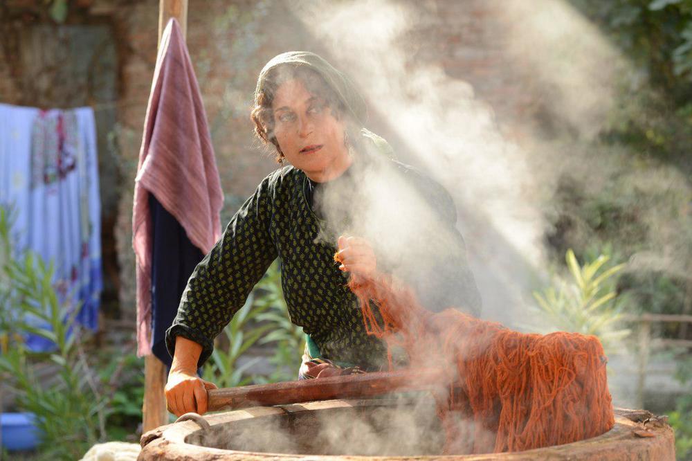 متن و حاشیه فیلم «بنفشه آفریقایی»/ ترسیم مثلث عشق در سالمندی