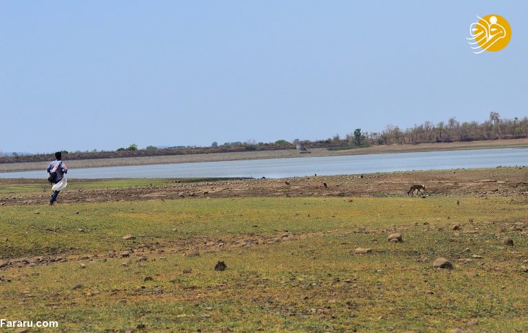 (تصاویر)