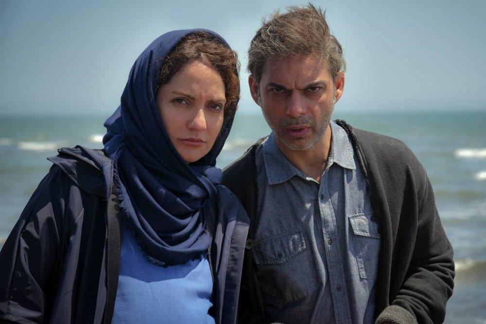فیلم «ناگهان درخت»؛ نقد و بررسی و هرآنچه باید درباره آن بدانید