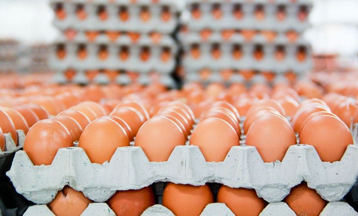 قیمت تخممرغ کاهش یافت قیمت تخممرغ کاهش یافت