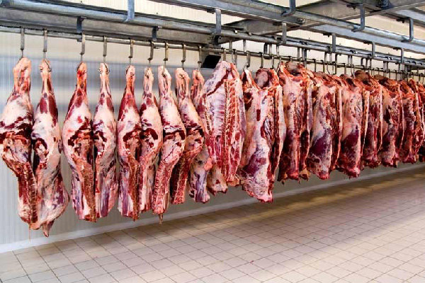 احتکار گوشتهای وارداتی با ارز دولتی احتکار گوشتهای وارداتی با ارز دولتی