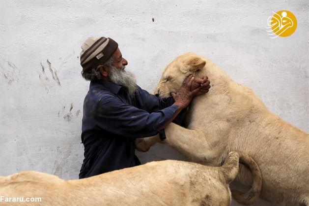 (تصاویر)