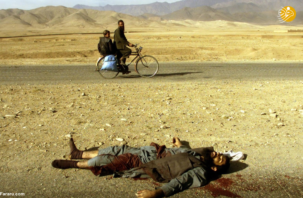 (تصاویر)