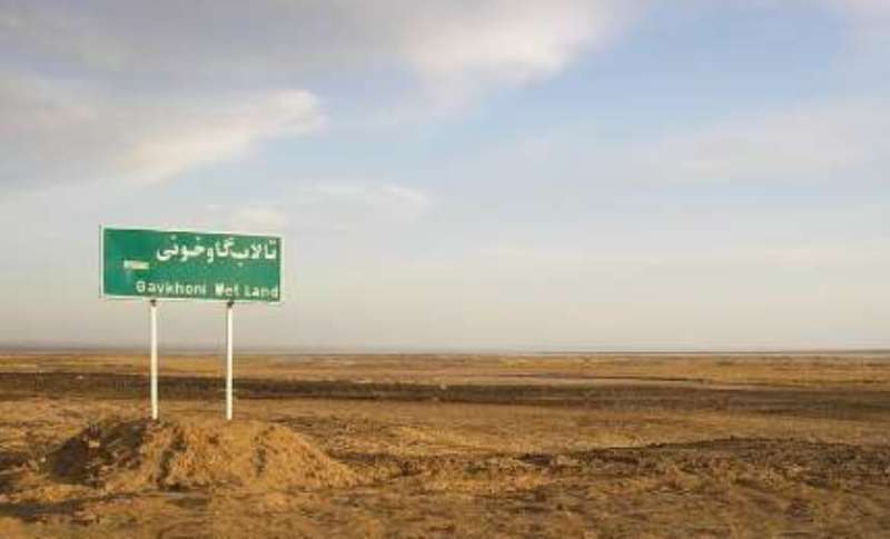 تالاب گاوخونی بعد از ۱۵ سال احیا شد تالاب گاوخونی بعد از ۱۵ سال احیا شد