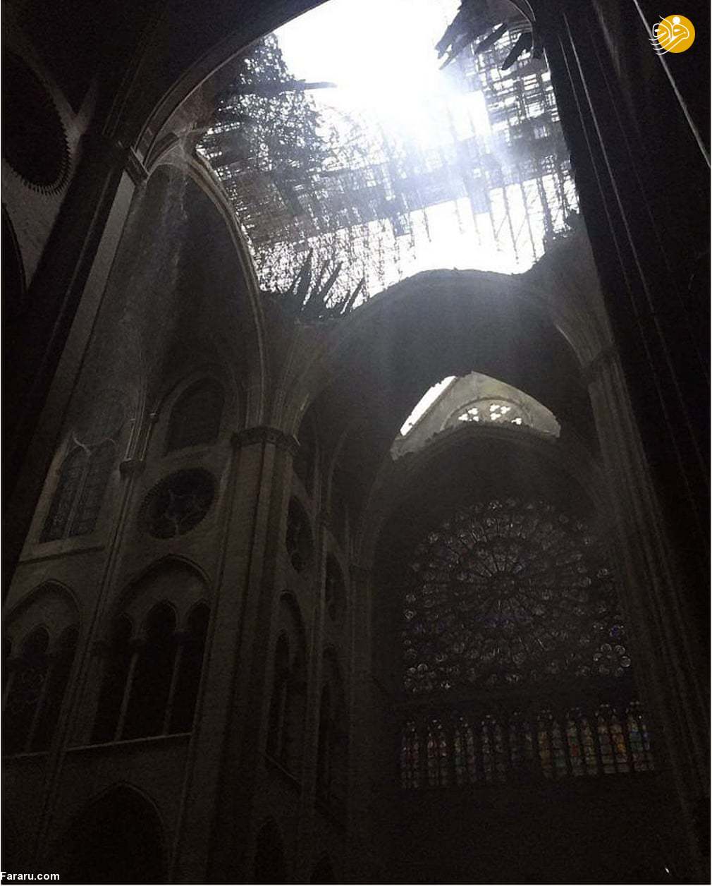 (تصاویر)