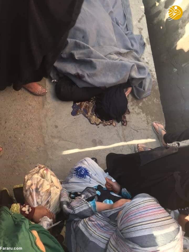 (تصاویر)