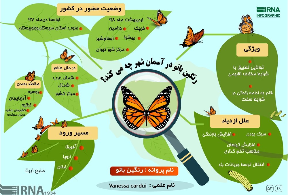 (اینفوگرافیک) پروانهها در تهران چه میکنند؟ (اینفوگرافیک) پروانهها در تهران چه میکنند؟