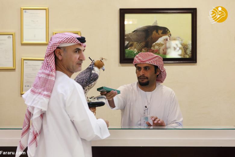 (تصاویر)