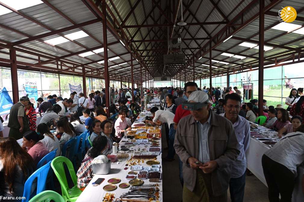 (تصاویر)