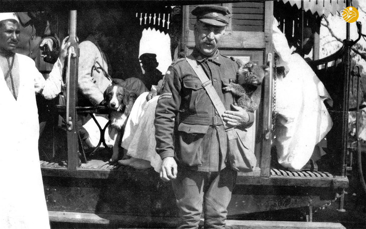 (تصاویر)