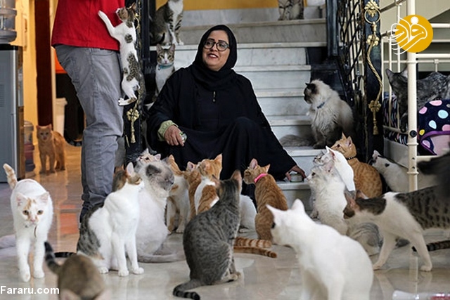 (تصاویر)