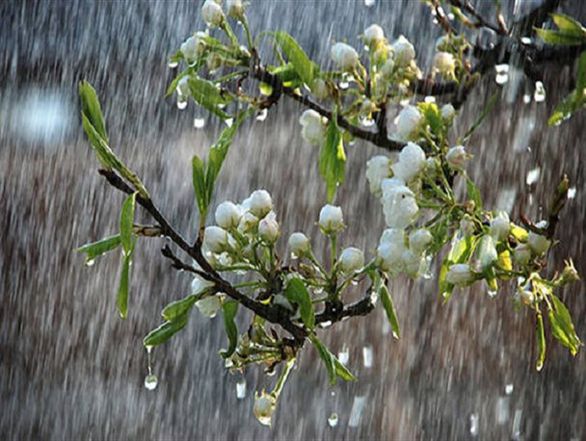 وقوع رگبار‌های بهاری در غرب