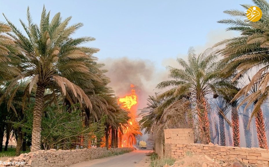 (تصاویر)