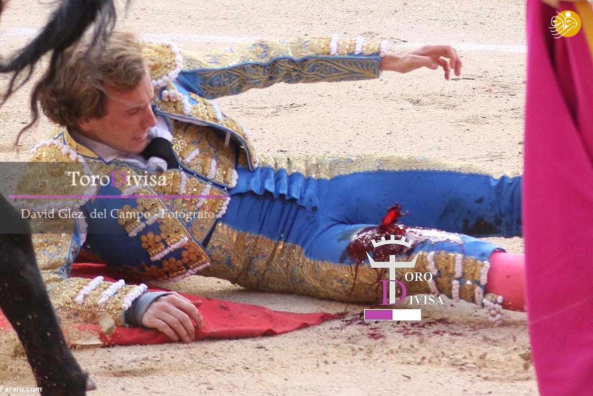 (تصاویر)