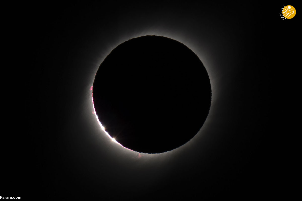 (تصاویر)