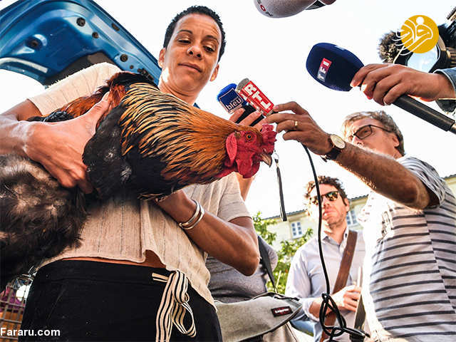(تصاویر)