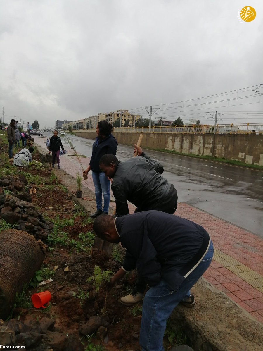 (تصاویر)