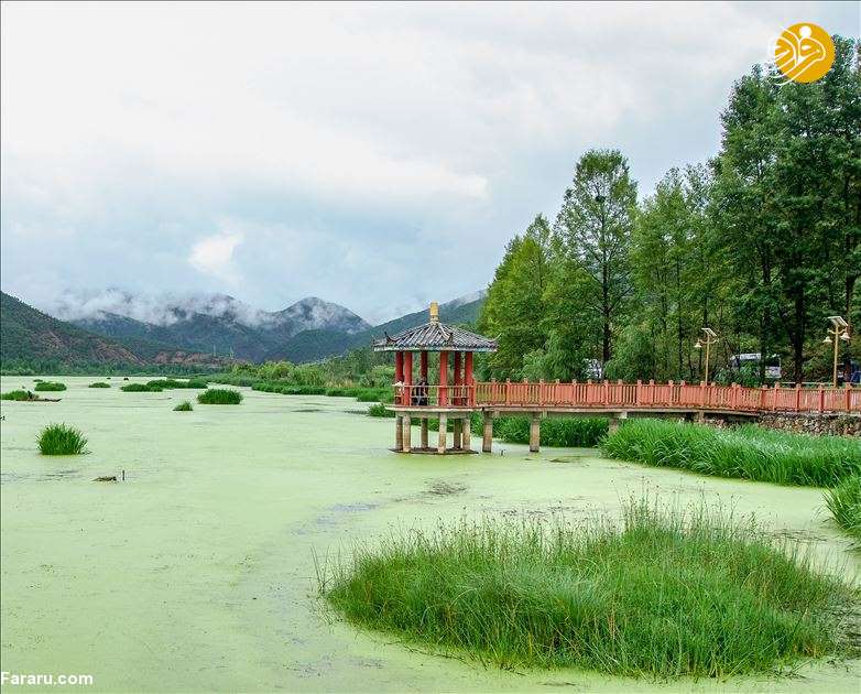 (تصاویر)