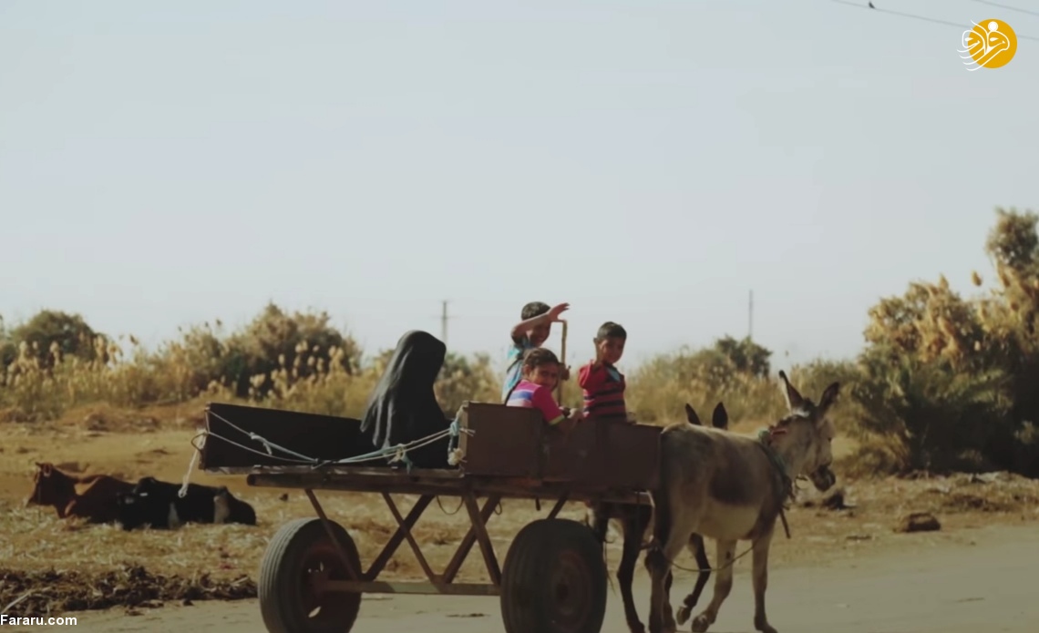 (تصاویر)
