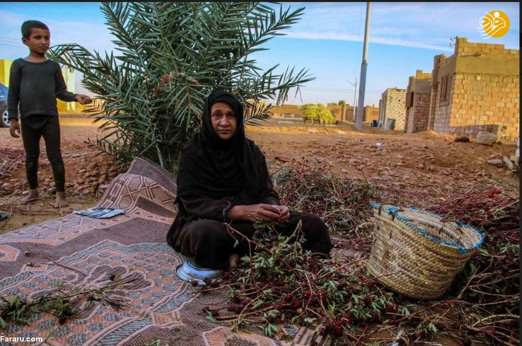 (تصاویر)