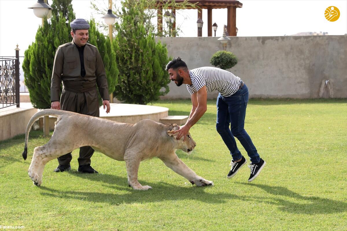 (تصاویر)