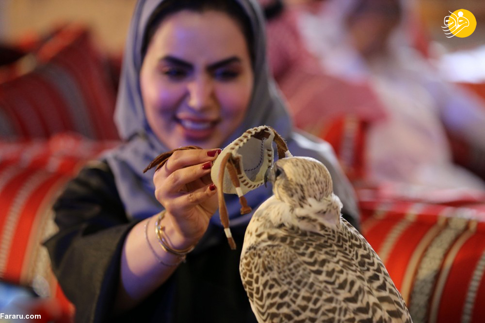 (تصاویر)