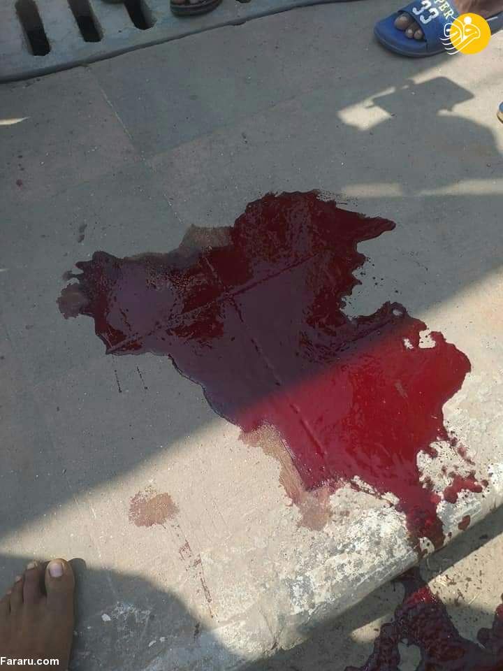 (تصاویر)