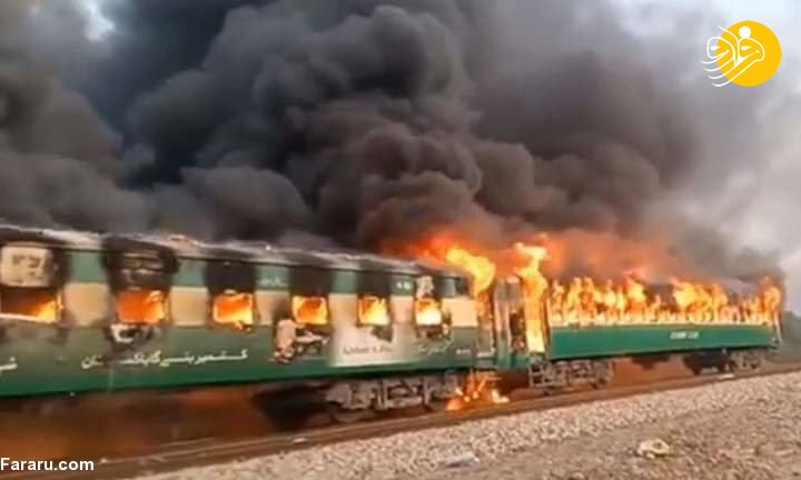(تصاویر)