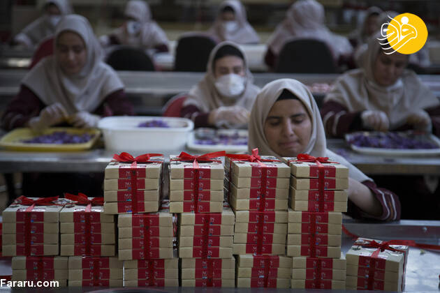 (تصاویر)