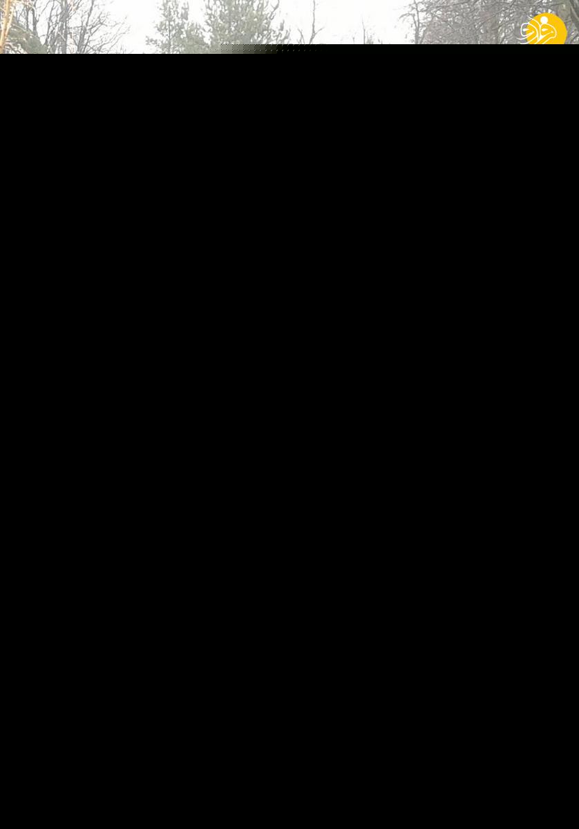 (تصاویر)