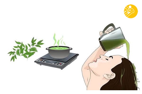 ۱۰ گیاهی که به درمان ریزش مو کمک می‌کنند