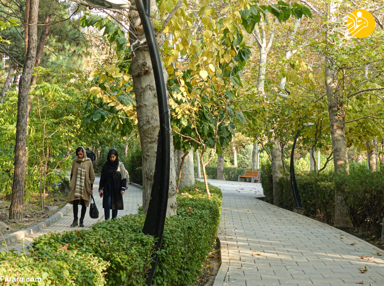 (تصاویر)