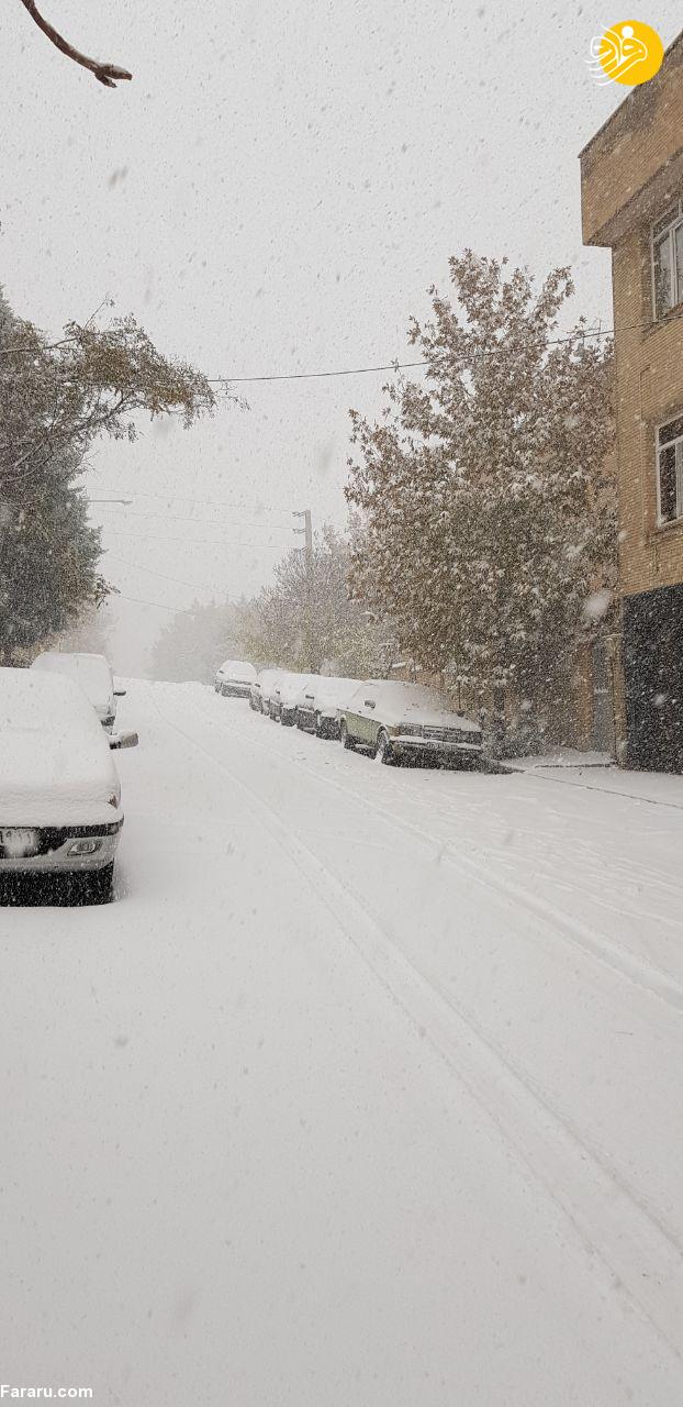 آخرین اخبار از بارش سنگین برف در تهران
