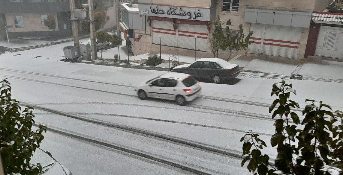 تصاویر/ تصاویر/