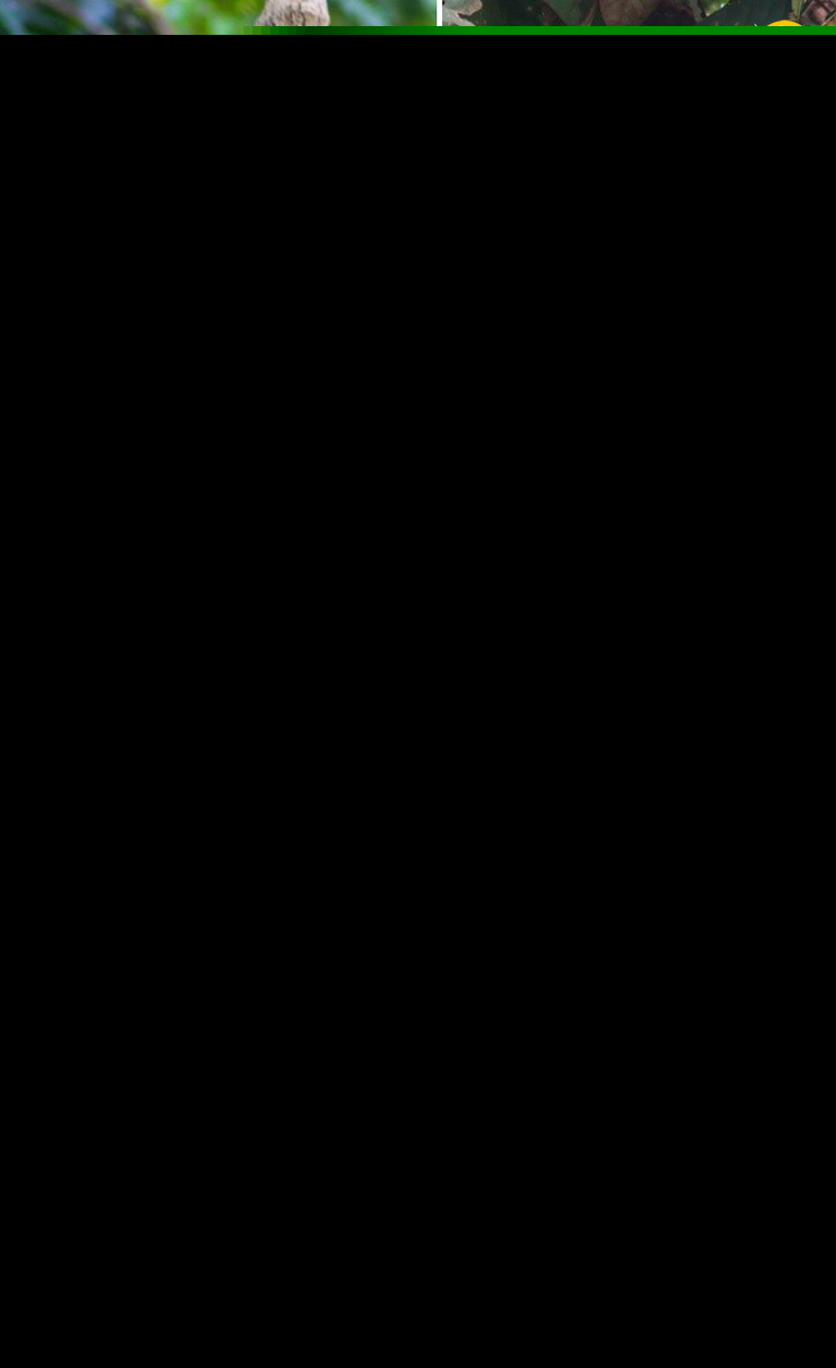 (تصویر)