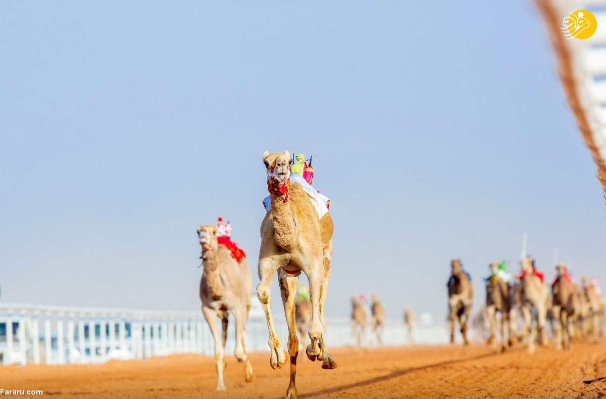 (تصاویر)