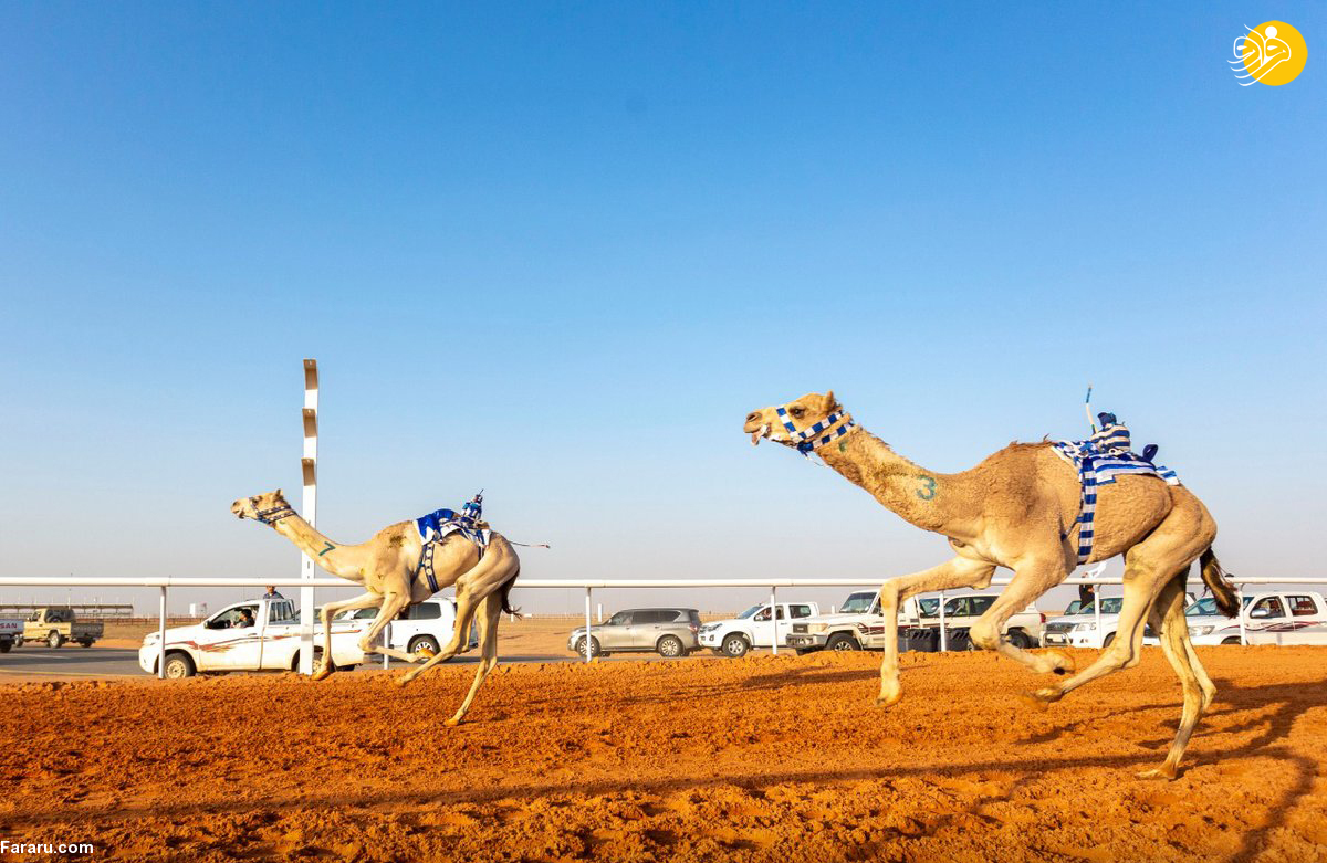 (تصاویر)