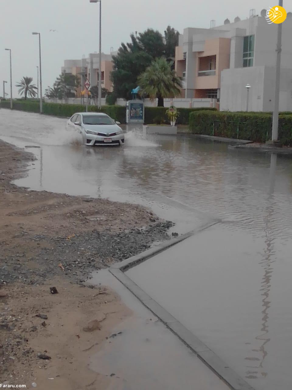 (تصاویر)