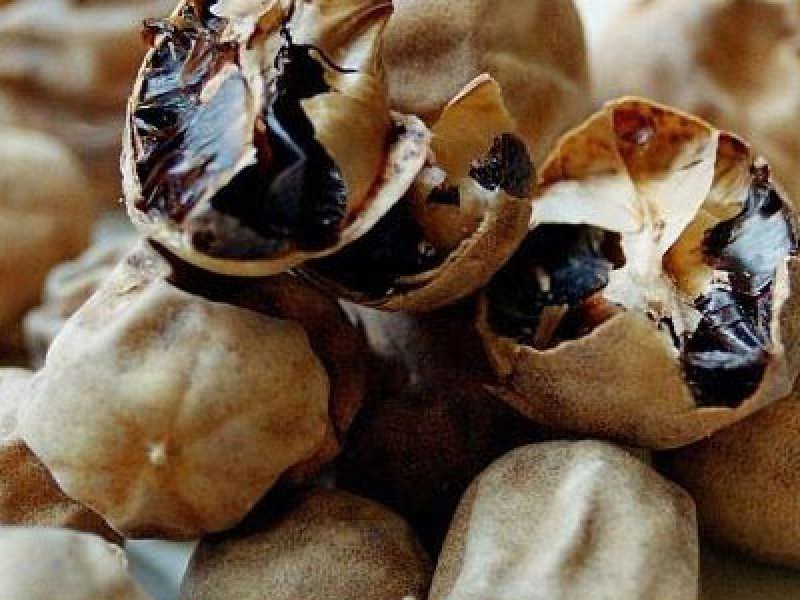 طرز تهیه خورشت خلال کرمانشاه