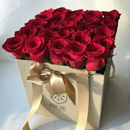 ولنتاین ولنتاین