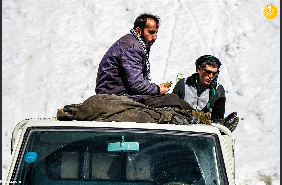 (تصاویر)