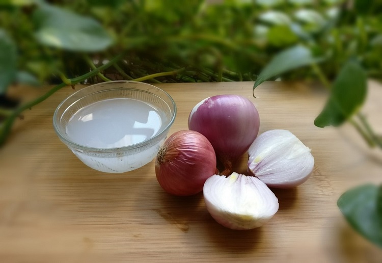 آب پیاز علت ریزش مو در مردان چیست و چگونه درمان میشود؟