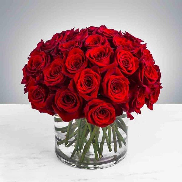 پیام تبریک سالگرد ازدواج به دوست؛ اس ام اس و متن ادبی تبریک ازدواج به دوست