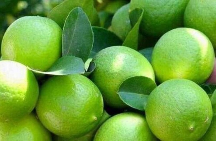 رطوبت و نم خانه را چگونه رفع کنیم؟