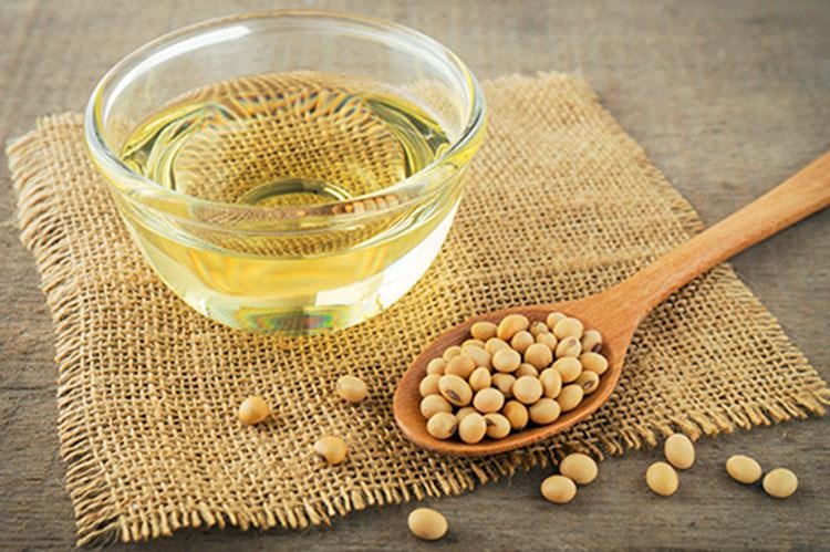 درمان زخم پای دیابیتی با سویا زخم پای دیابیتی؛ علل، نشانهها و راههای درمان آن